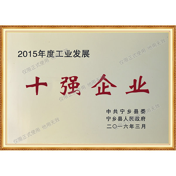 2015年度工业发展十强企业